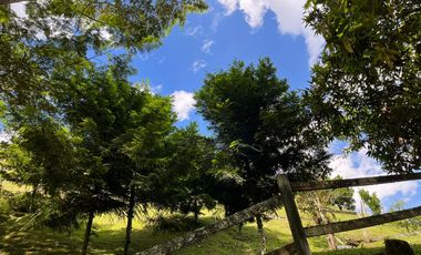 Venta Finca sector variante a Caldas, en La Estrella Antioquia