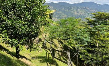 Venta Finca sector variante a Caldas, en La Estrella Antioquia