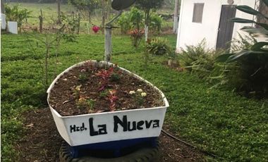Venta de hacienda de 100 hectáreas con 30 hectáreas de teca sembradas en Balzar