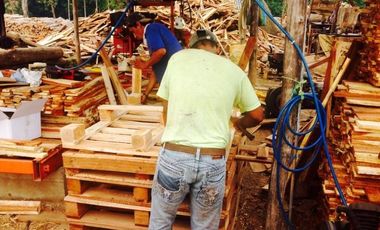 Venta de hacienda de 100 hectáreas con 30 hectáreas de teca sembradas en Balzar