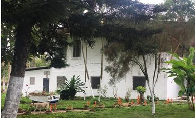 Venta de hacienda de 100 hectáreas con 30 hectáreas de teca sembradas en Balzar