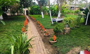 Venta de hacienda de 100 hectáreas con 30 hectáreas de teca sembradas en Balzar