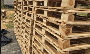 Venta de hacienda de 100 hectáreas con 30 hectáreas de teca sembradas en Balzar