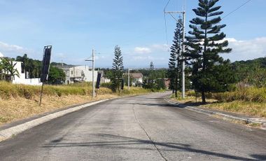 258sq.m Residential Lot For Sale. Located at Highest Peak of San Pedro Laguna. Accessible Via SLEX, MCX and SKYWAY