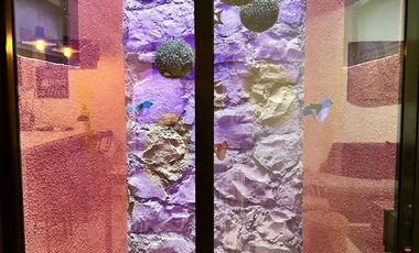 Hermoso Depa amueblado en Zirandaro club de golf