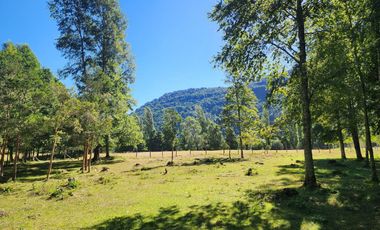 En Riñinahue, Espectacular predio de 52ha con 390m de orilla de río Nilahue