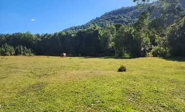 En Riñinahue, Espectacular predio de 52ha con 390m de orilla de río Nilahue