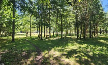 En Riñinahue, Espectacular predio de 52ha con 390m de orilla de río Nilahue