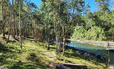 En Riñinahue, Espectacular predio de 52ha con 390m de orilla de río Nilahue