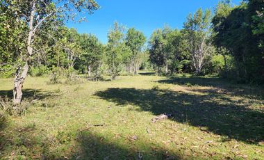 En Riñinahue, Espectacular predio de 52ha con 390m de orilla de río Nilahue