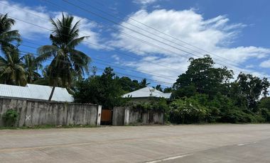 Commercial Villa Along the Highway of Tawala, Panglao, Bohol