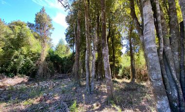 Hermoso terreno en Huiro Corral