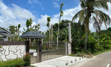 1427sqm Titled Lot for Sale, Amadeo area. P5k/sqm