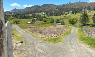 Oportunidad Terreno en venta 31.000m2 planos sector Monay - Baguanchi