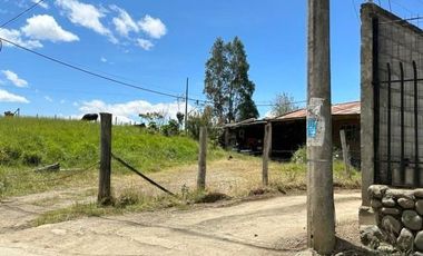 Oportunidad Terreno en venta 31.000m2 planos sector Monay - Baguanchi