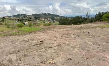 Oportunidad Terreno en venta 31.000m2 planos sector Monay - Baguanchi
