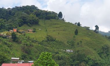 EN VENTA FINCA EN EL CHAQUIRO DE 5,5 CUADRAS