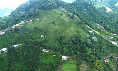 EN VENTA FINCA EN EL CHAQUIRO DE 5,5 CUADRAS