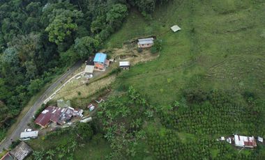EN VENTA FINCA EN EL CHAQUIRO DE 5,5 CUADRAS