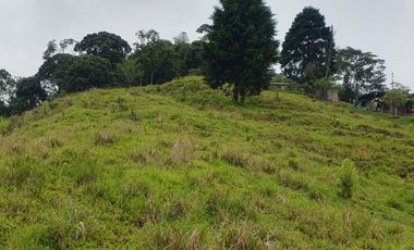 EN VENTA FINCA EN EL CHAQUIRO DE 5,5 CUADRAS