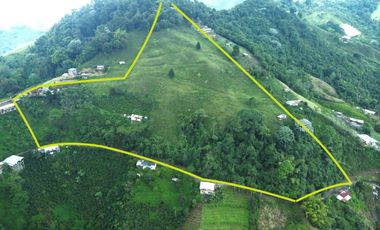 EN VENTA FINCA EN EL CHAQUIRO DE 5,5 CUADRAS
