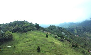 EN VENTA FINCA EN EL CHAQUIRO DE 5,5 CUADRAS