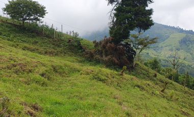 EN VENTA FINCA EN EL CHAQUIRO DE 5,5 CUADRAS