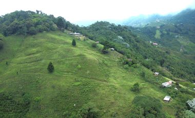 EN VENTA FINCA EN EL CHAQUIRO DE 5,5 CUADRAS