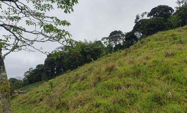 EN VENTA FINCA EN EL CHAQUIRO DE 5,5 CUADRAS