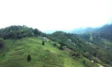 EN VENTA FINCA EN EL CHAQUIRO DE 5,5 CUADRAS