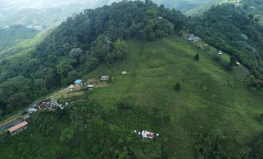 EN VENTA FINCA EN EL CHAQUIRO DE 5,5 CUADRAS
