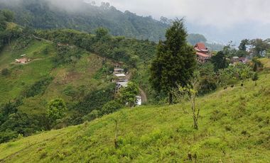 EN VENTA FINCA EN EL CHAQUIRO DE 5,5 CUADRAS