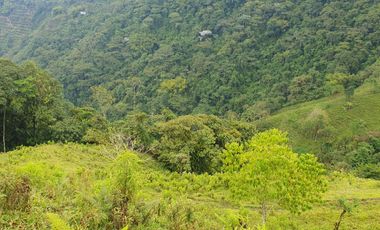 EN VENTA FINCA EN EL CHAQUIRO DE 5,5 CUADRAS