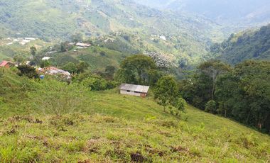 EN VENTA FINCA EN EL CHAQUIRO DE 5,5 CUADRAS
