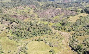 VENDO FINCA AGRÍCOLA, PARA GANADO O CERDOS EN SANTUARIO ANTIOQUIA.