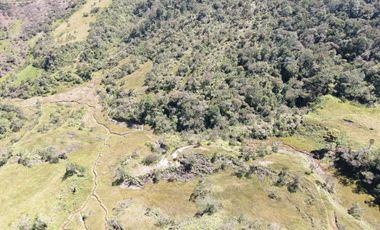 VENDO FINCA AGRÍCOLA, PARA GANADO O CERDOS EN SANTUARIO ANTIOQUIA.