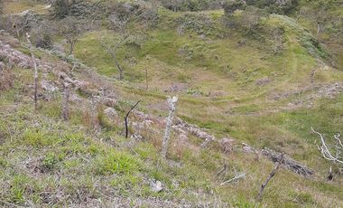 VENDO FINCA AGRÍCOLA, PARA GANADO O CERDOS EN SANTUARIO ANTIOQUIA.