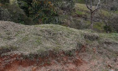 VENDO FINCA AGRÍCOLA, PARA GANADO O CERDOS EN SANTUARIO ANTIOQUIA.