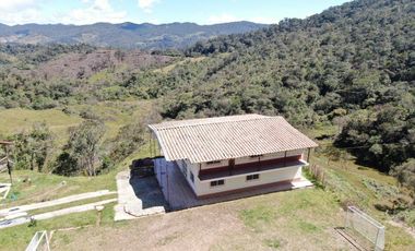VENDO FINCA AGRÍCOLA, PARA GANADO O CERDOS EN SANTUARIO ANTIOQUIA.