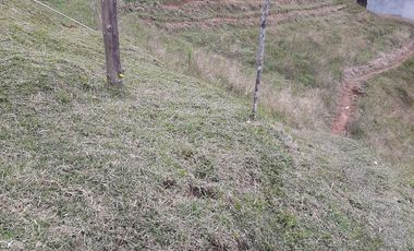 VENDO FINCA AGRÍCOLA, PARA GANADO O CERDOS EN SANTUARIO ANTIOQUIA.