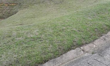VENDO FINCA AGRÍCOLA, PARA GANADO O CERDOS EN SANTUARIO ANTIOQUIA.