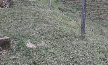 VENDO FINCA AGRÍCOLA, PARA GANADO O CERDOS EN SANTUARIO ANTIOQUIA.