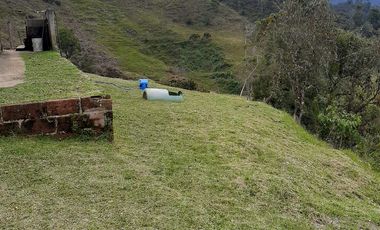 VENDO FINCA AGRÍCOLA, PARA GANADO O CERDOS EN SANTUARIO ANTIOQUIA.
