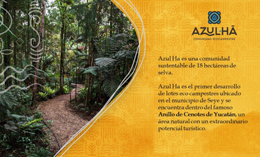 LOTES CAMPESTRES EN VENTA, AZUL HA, SEYE,  YUCATAN.