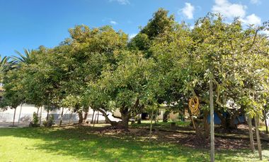 Quinta de venta en Guayllabamba, Bello Horizonte 2, La Victoria.