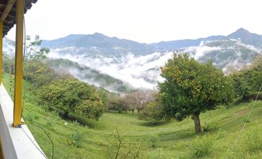 Venta Finca Ganadera Santa Bárbara Antioquia