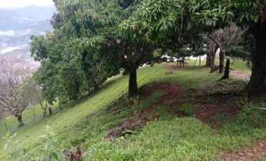 Venta Finca Ganadera Santa Bárbara Antioquia