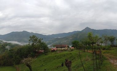 Venta Finca Ganadera Santa Bárbara Antioquia