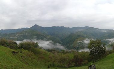Venta Finca Ganadera Santa Bárbara Antioquia