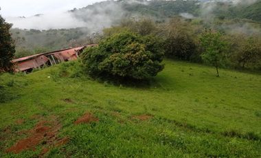 Venta Finca Ganadera Santa Bárbara Antioquia